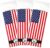 JetBag Travel Wine Bag (Set of 3, US Flag Pattern) – The Original Absorbent, Reusable & Protective Wine Bottle Bag – Made in the USA